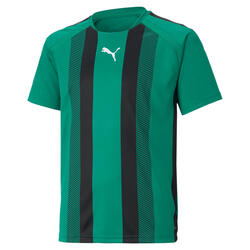 Maillot enfant Puma Team Liga Striped