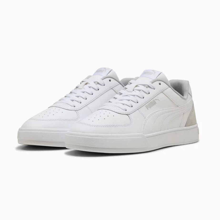 PUMA picture