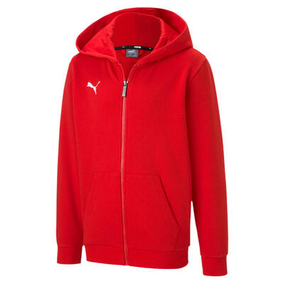 Kinder-Hoodie Puma Team Goal 23 Casuals