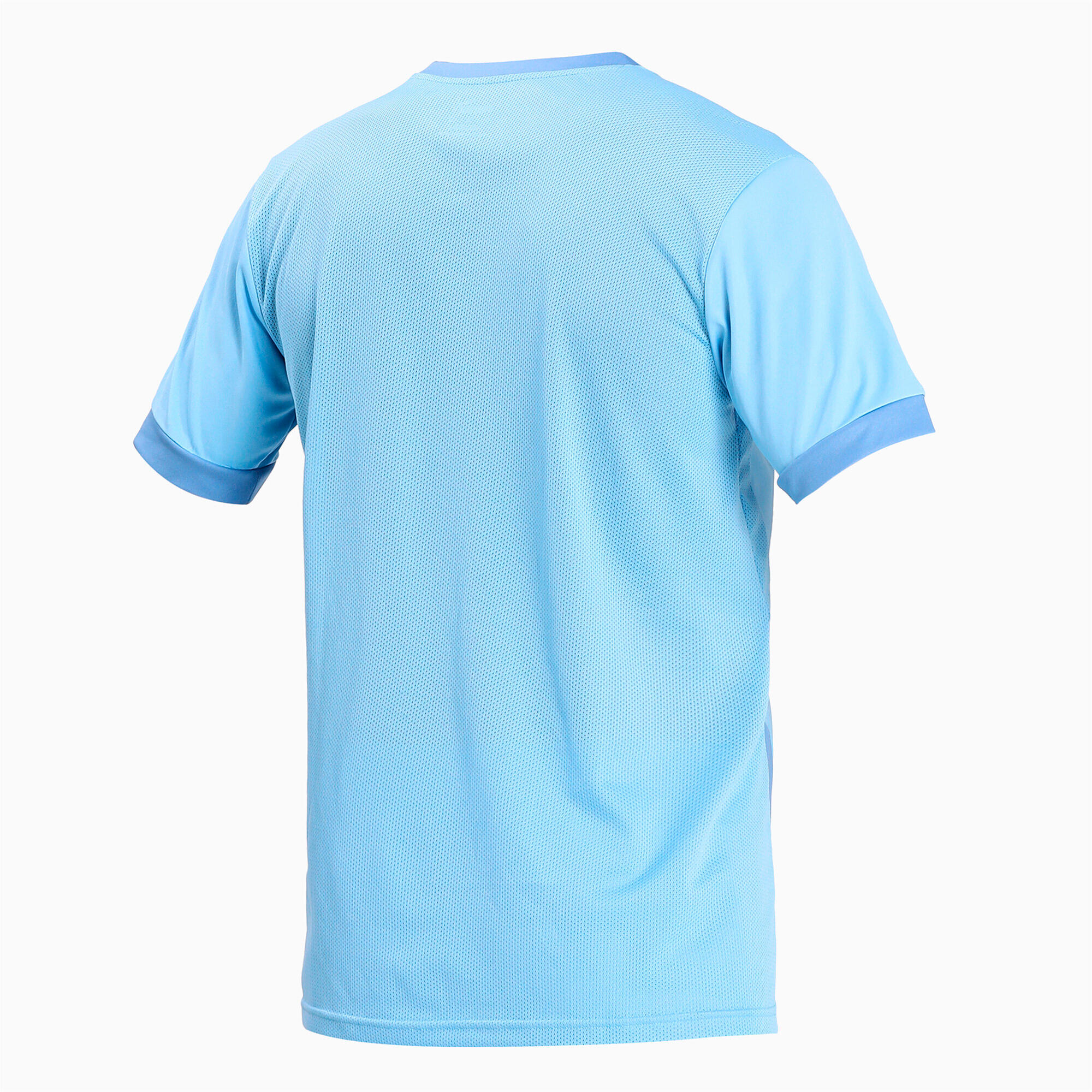 Koszulka Puma Team Goal 23 2/6