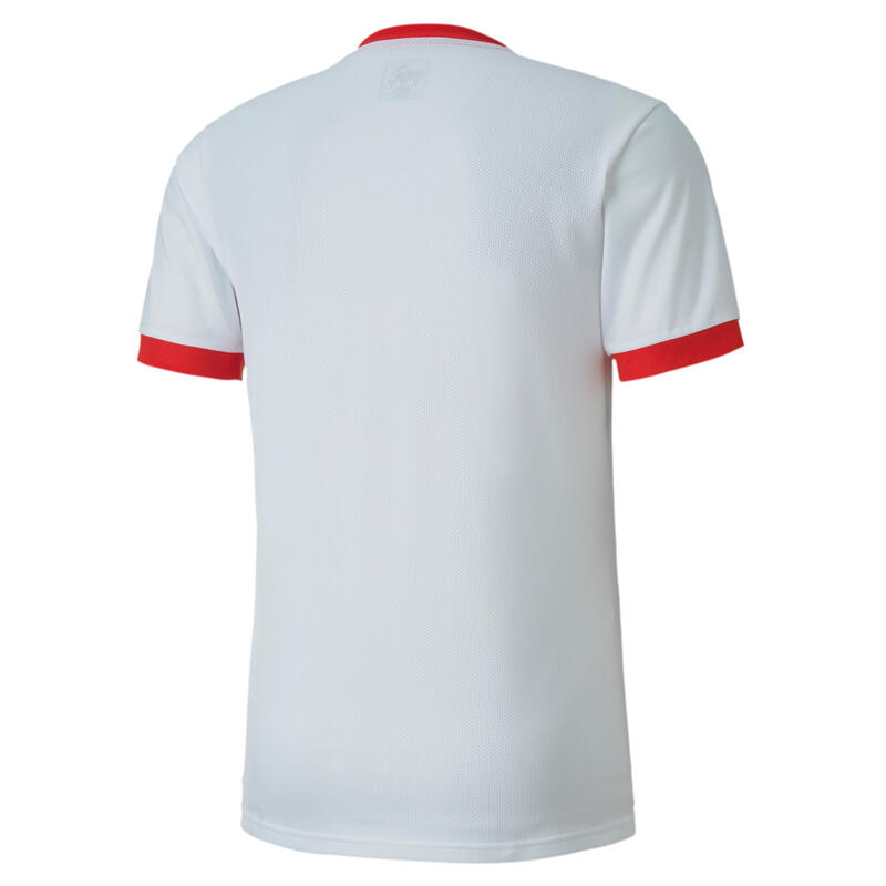 Maillot Puma Team Goal 23