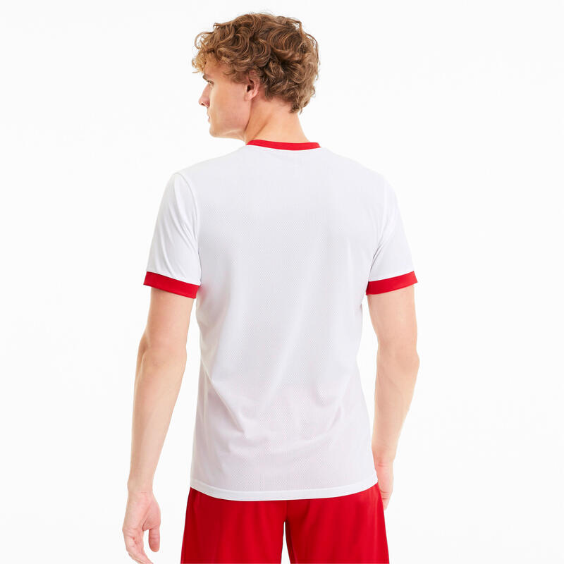 Camisola Puma Team Goal 23