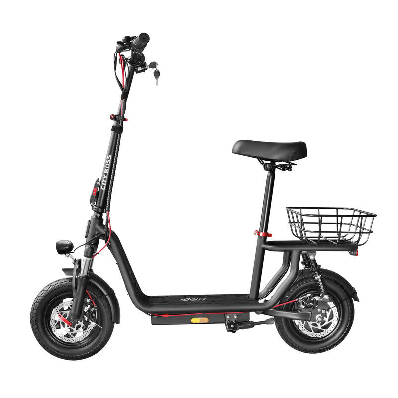 Elektrická koloběžka City Boss Z350