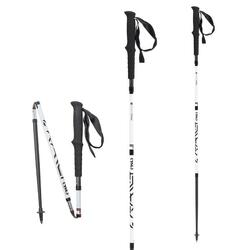 Bâtons TRAIL C4 ULTRA MID SHADOW Sht 105