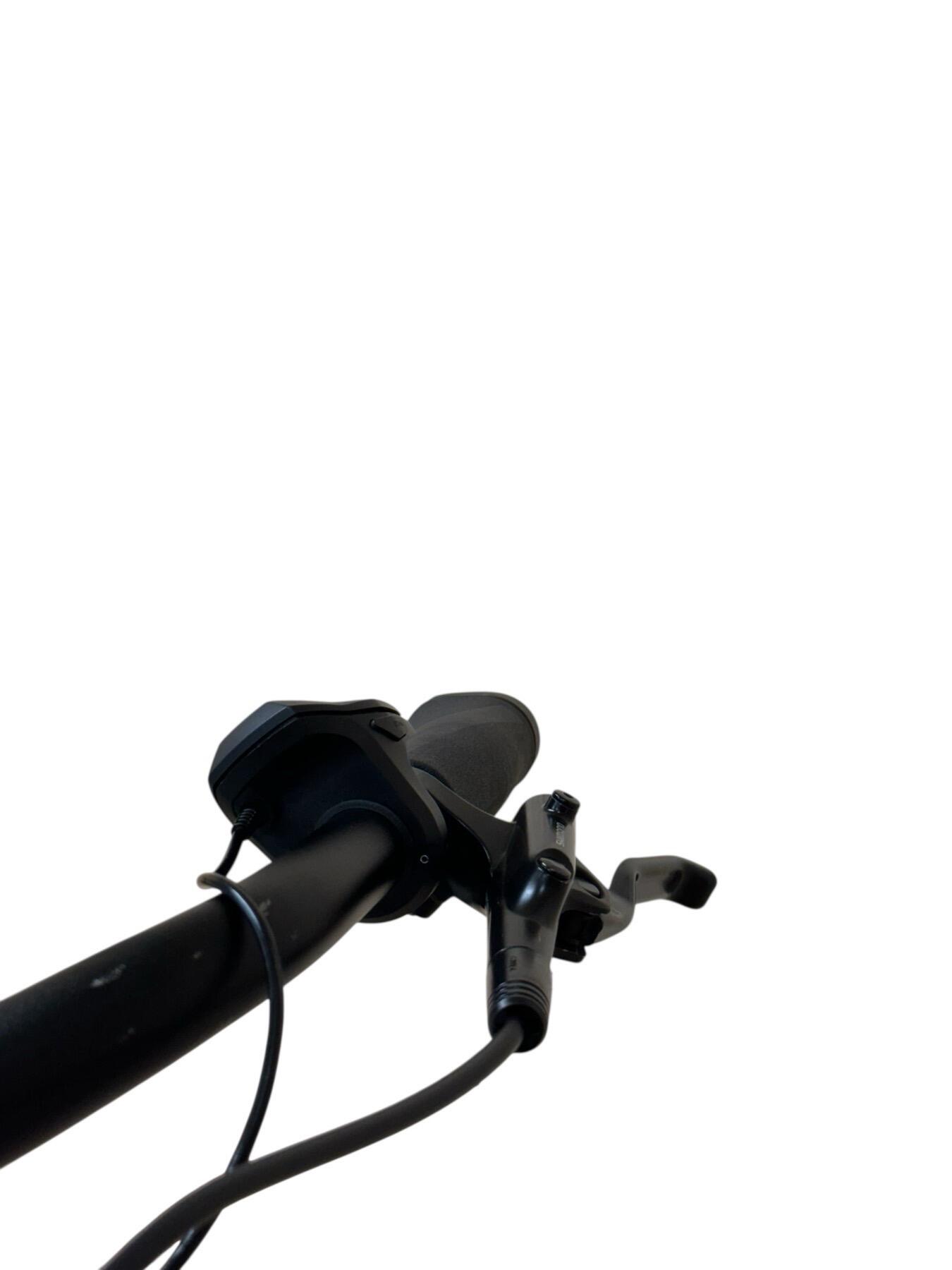 Refurbished -  E-Bike Diamant Beryll Deluxe+ NEXUS - Wie neu 3/7