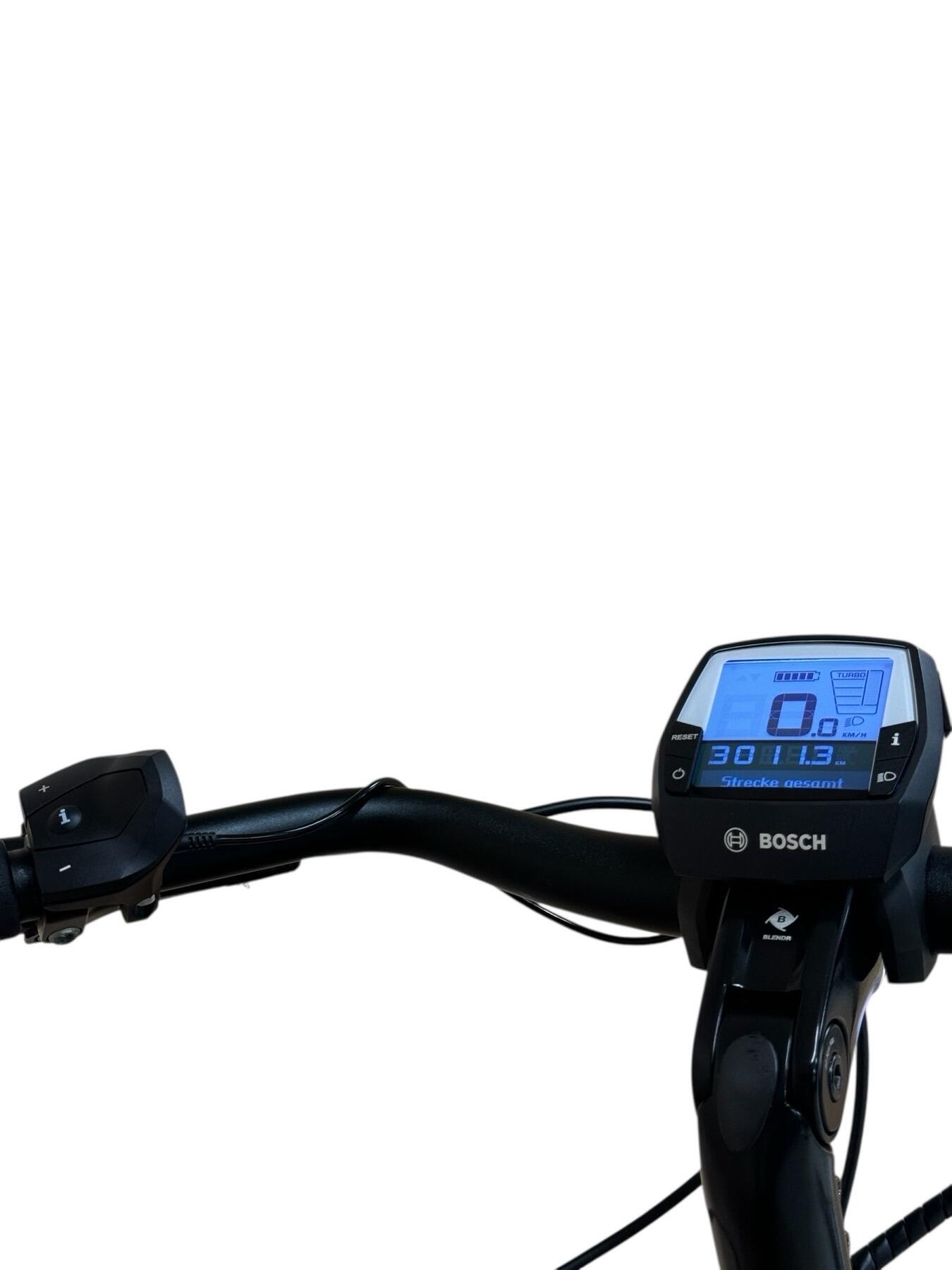 Refurbished -  E-Bike Diamant Beryll Deluxe+ NEXUS - Wie neu 4/7