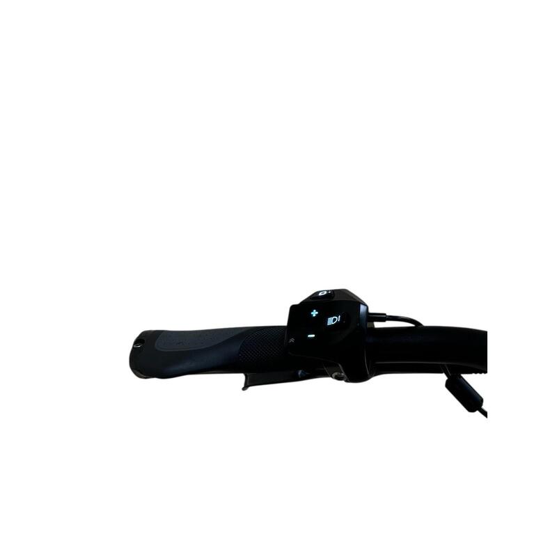 Second Hand - E-Bike Flyer Upstreet5 3.12 Shimano Alivio - Canou