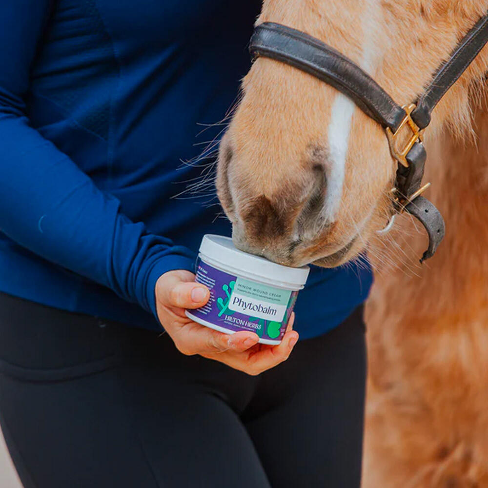 Cicatrisation cheval, chien, chat, Phytobalm Crème Hilton Herbs 250g 3/4