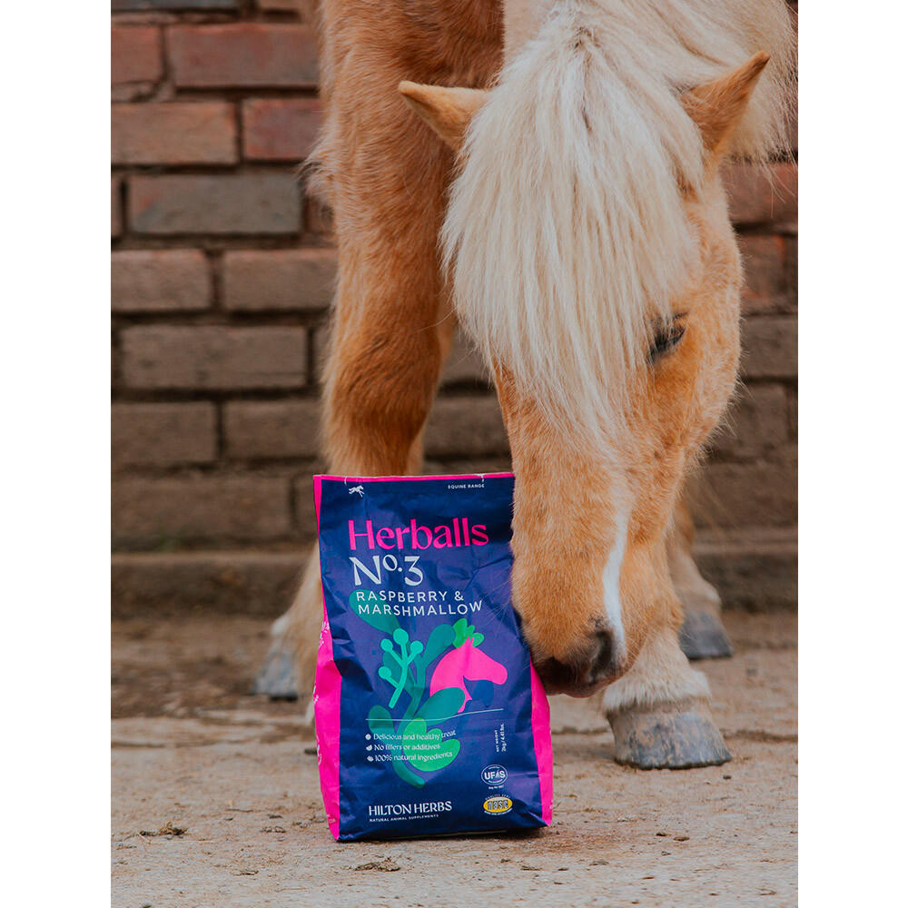Friandises naturelles cheval Herballs Framboisier guimauve Hilton Herbs 4/5