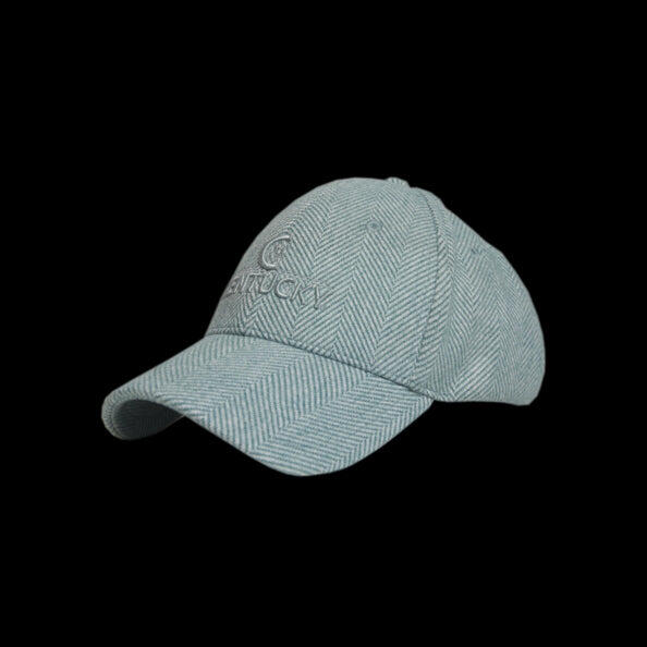 bleu bleuet