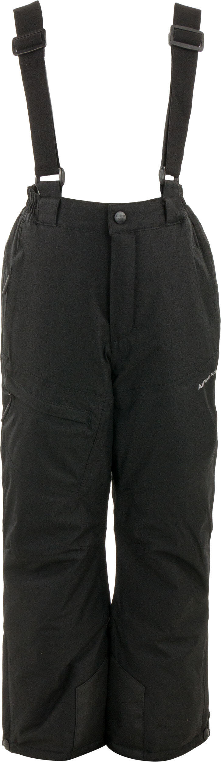 ALPINE PRO picture