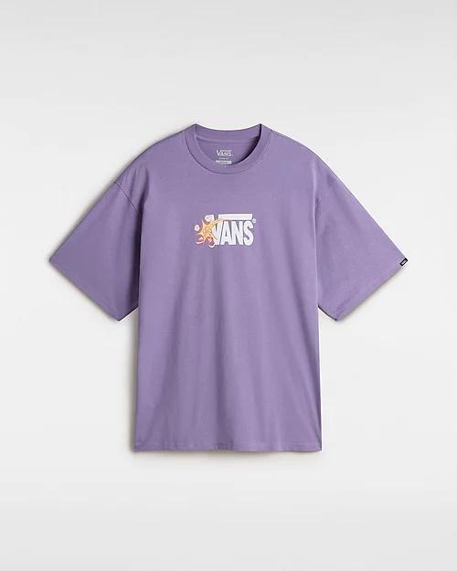 VANS picture