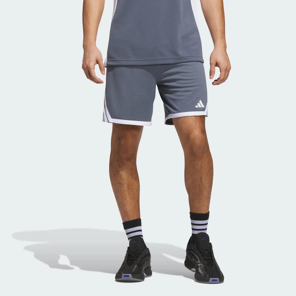 GREY / WHITE