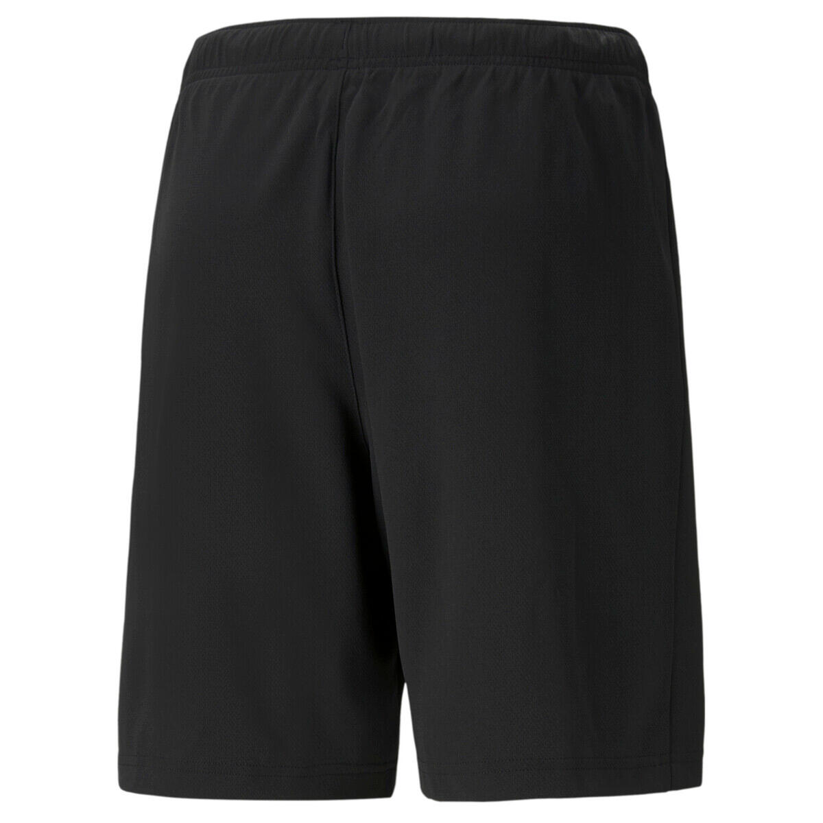 Short Puma teamRISE 2/6