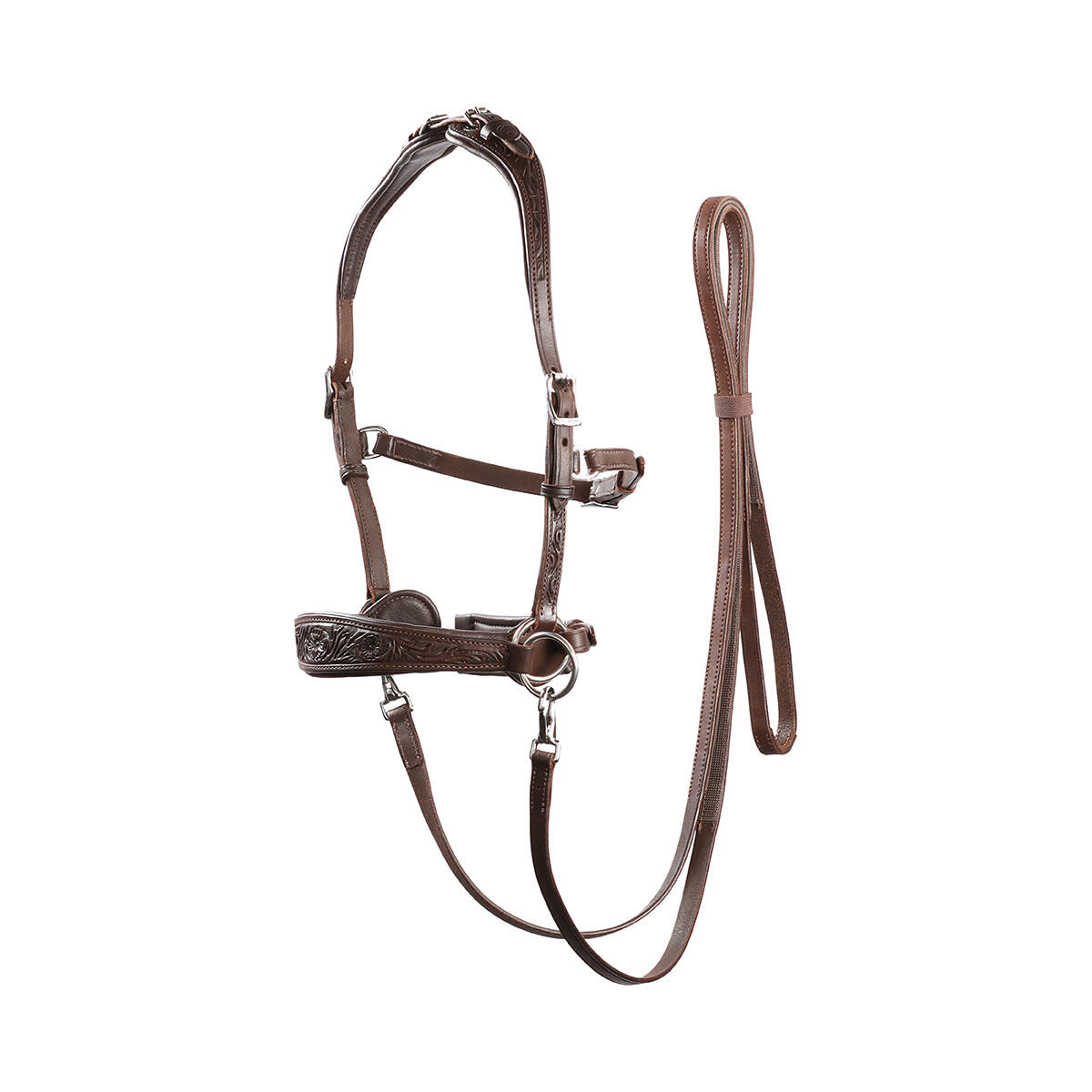 Bruin / Chocoladebruin / Bruin