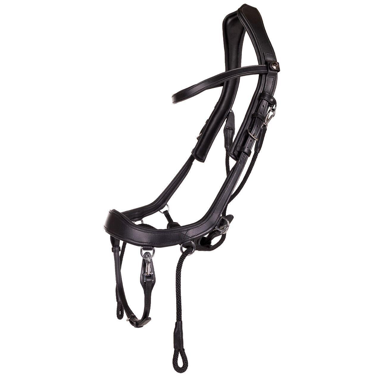 Anatomisches Pferdehalftriemen Presteq FaySport 2/6