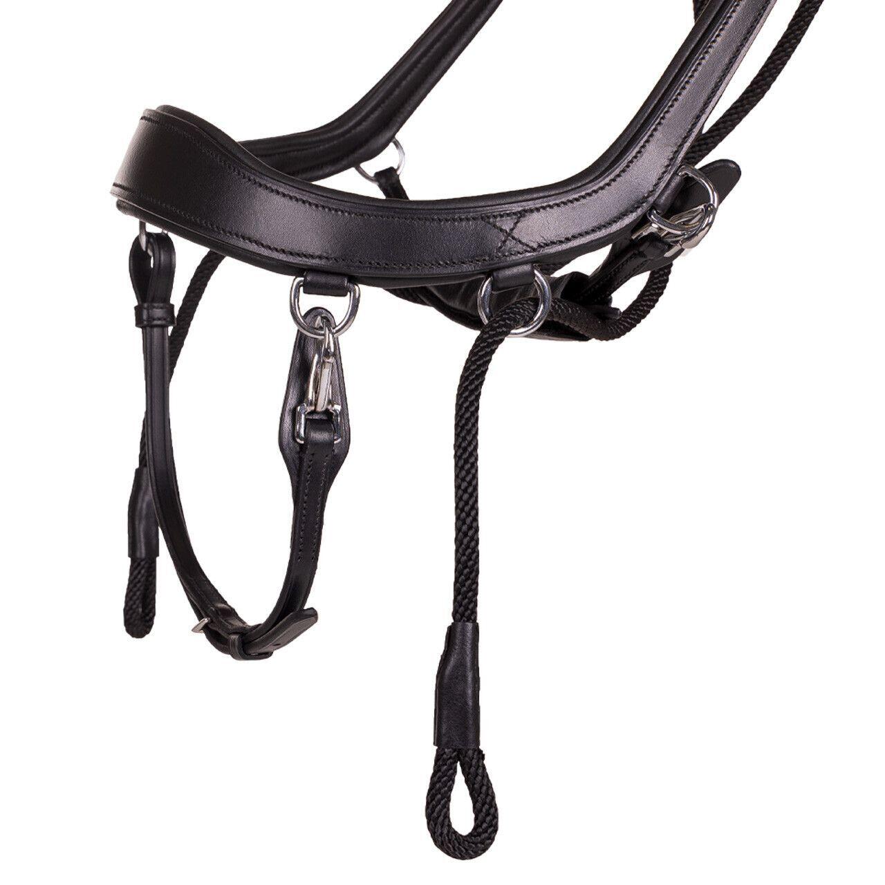 Anatomisches Pferdehalftriemen Presteq FaySport 6/6