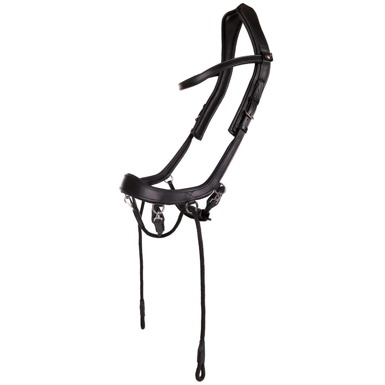 Anatomisches Pferdehalftriemen Presteq FaySport 3/6