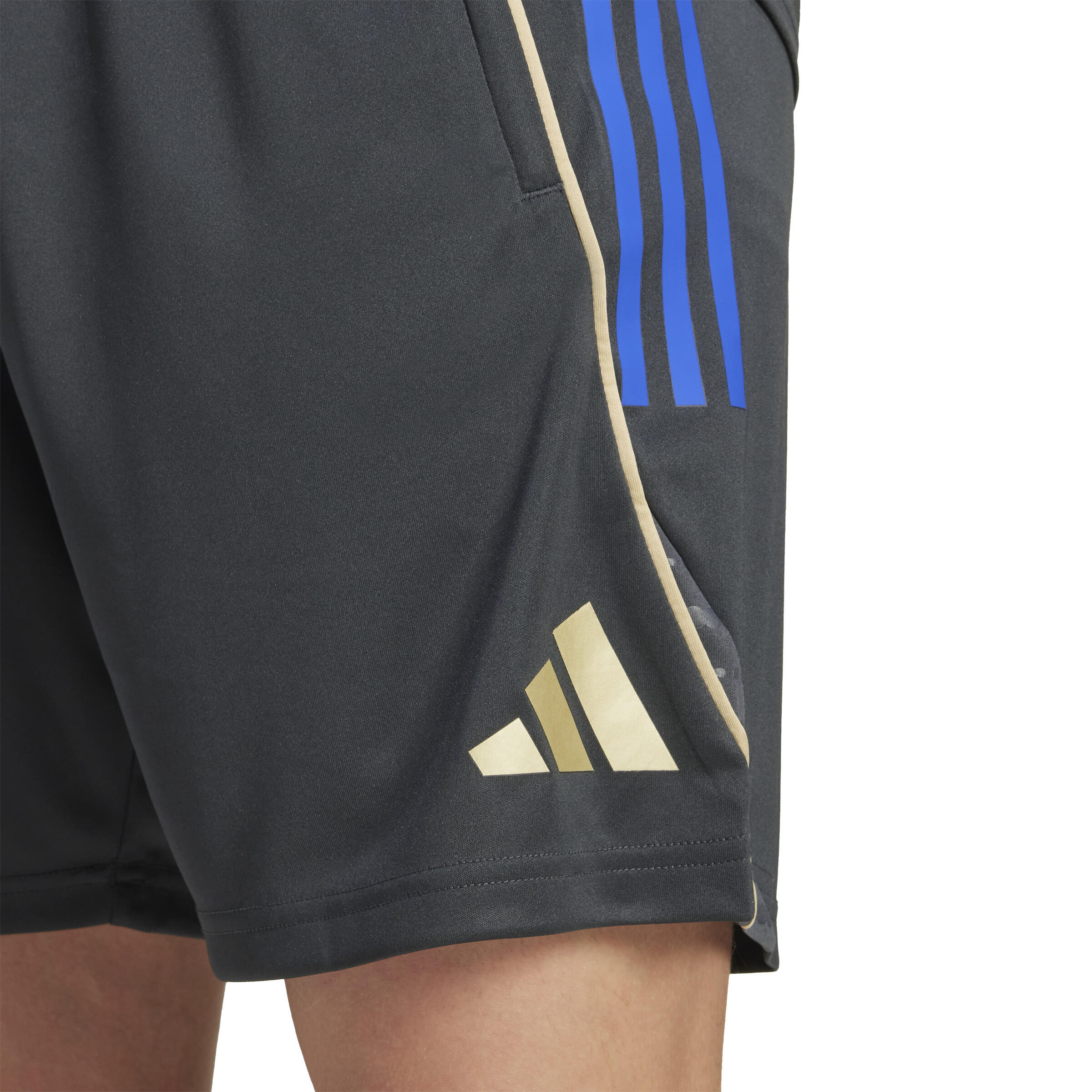 Short d'entraînement Joueur Homme 25-26 7/7