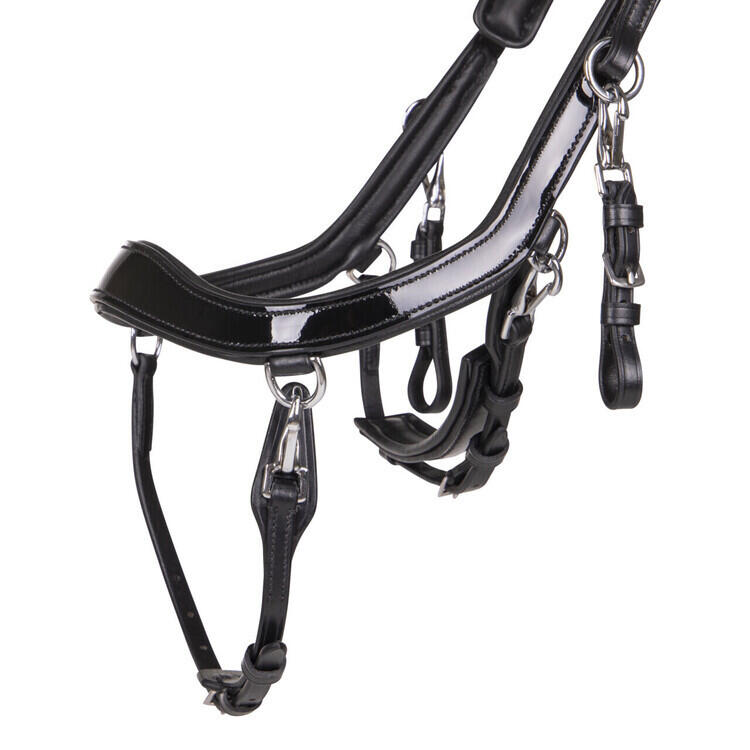 Bridón de equitación anatómico para caballo Presteq FaySport Shine 3/4