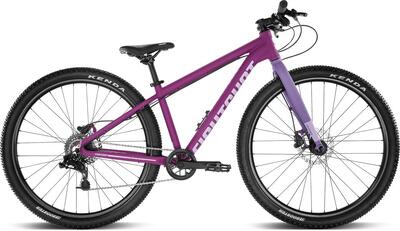 X-COADY 275 SL DISC - flat_violet