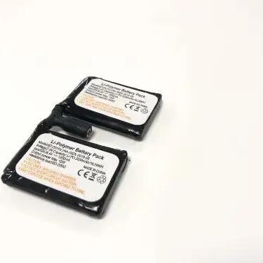Batteries for heated gloves Wantalis sancy (x2)