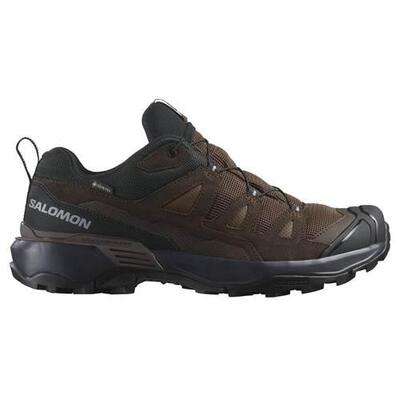 Herren trekking Schuh Salomon X Ultra 360 Ltr Gtx Gore-tex