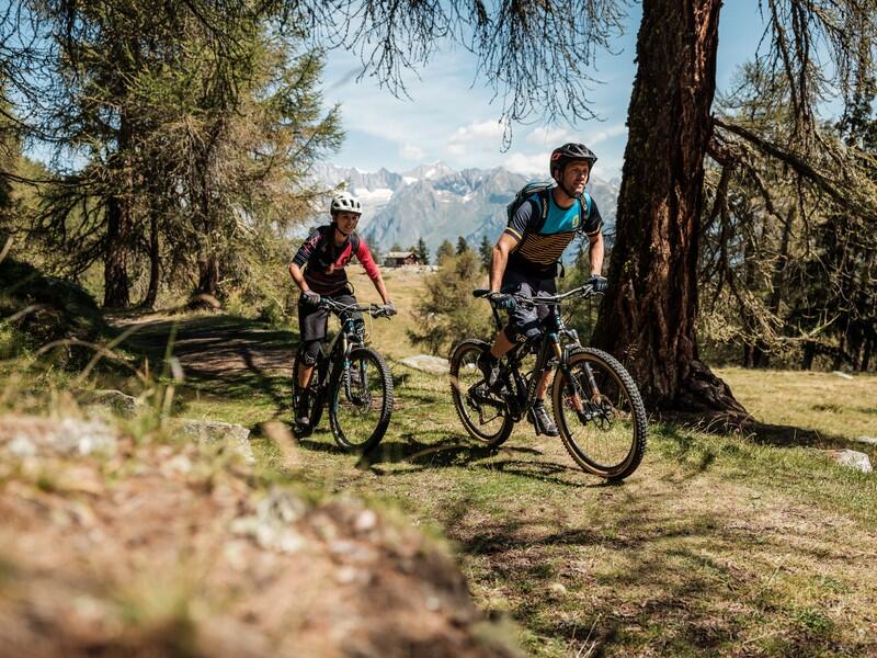 DECATHLON TRAVEL Mountainbike avontuur op de Alpine Bike in Wallis