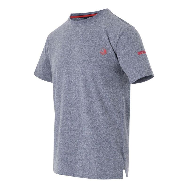 21cc5f32-1019-4754-9ee4-2c37aeccf53b_c1