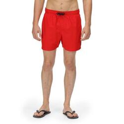 REGATTA Regatta Vêtements de natation Mawson SwShortIII Hommes True red