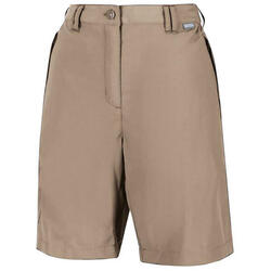 Shorts femme REGATTA Chaska Short II W-Beige-36 FR