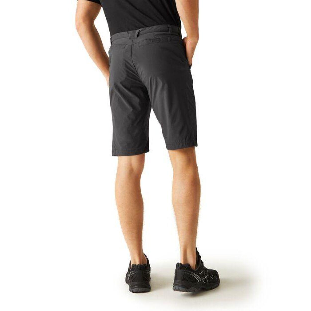 REGATTA Regatta Shorts Highton ShortLong HEREN Seal Grey 2/7