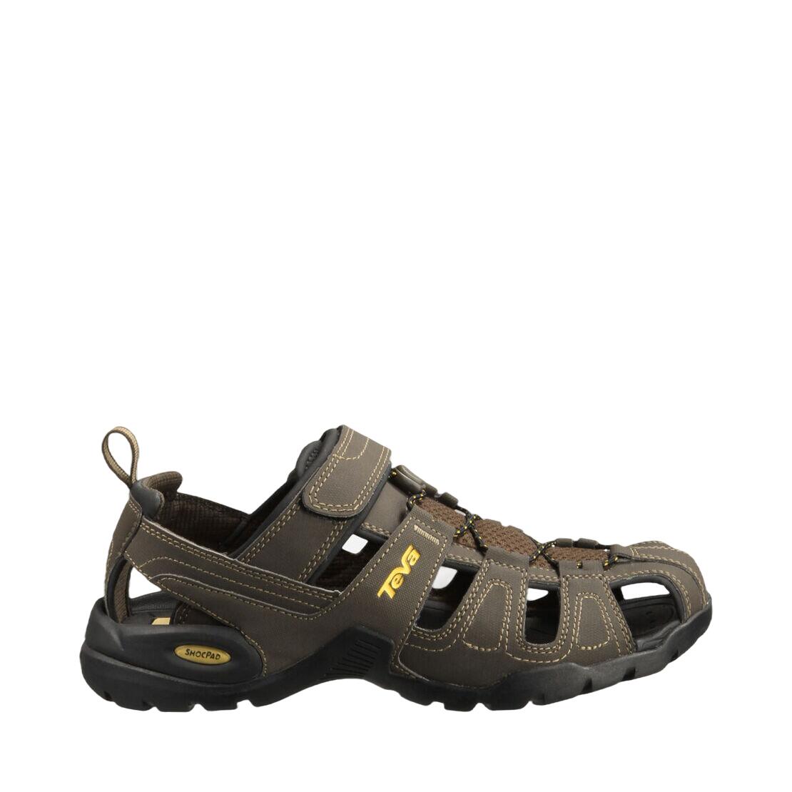 TEVA picture