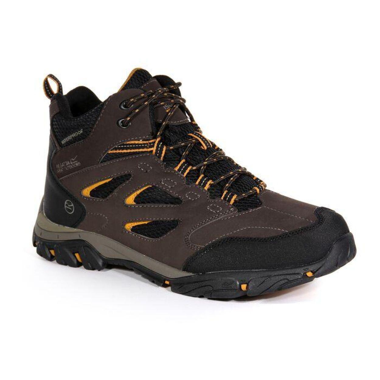REGATTA Regatta Chaussures de marche Holcombe IEP Mid  Hommes Peat/IncaGld 2/6