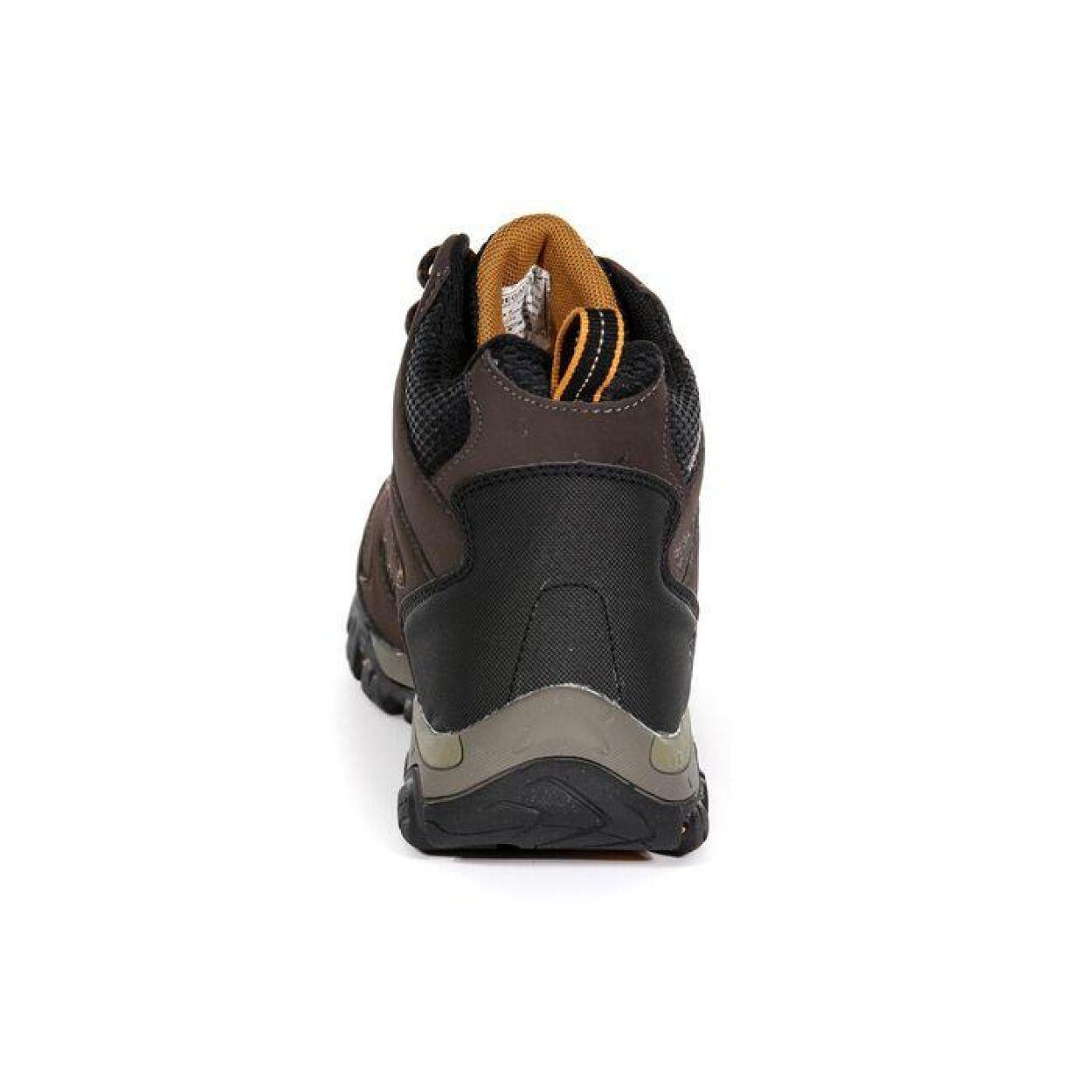 REGATTA Regatta Chaussures de marche Holcombe IEP Mid  Hommes Peat/IncaGld 3/6