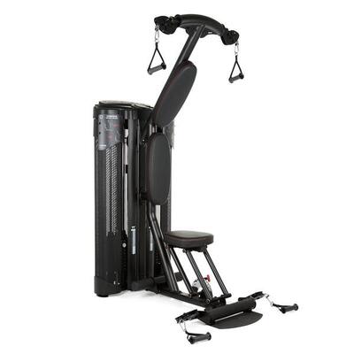 Inspire dual station biceps + triceps