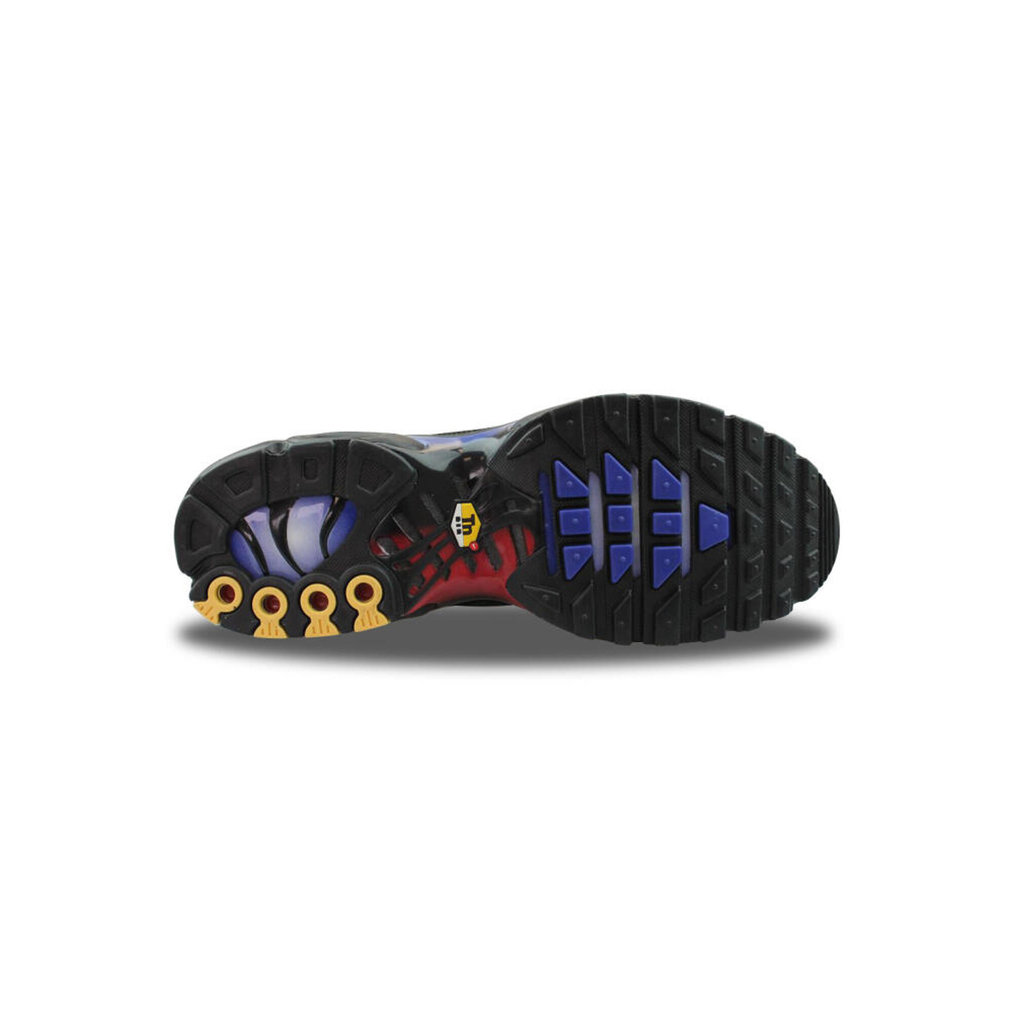 Air Max Plus 25th Anniversary