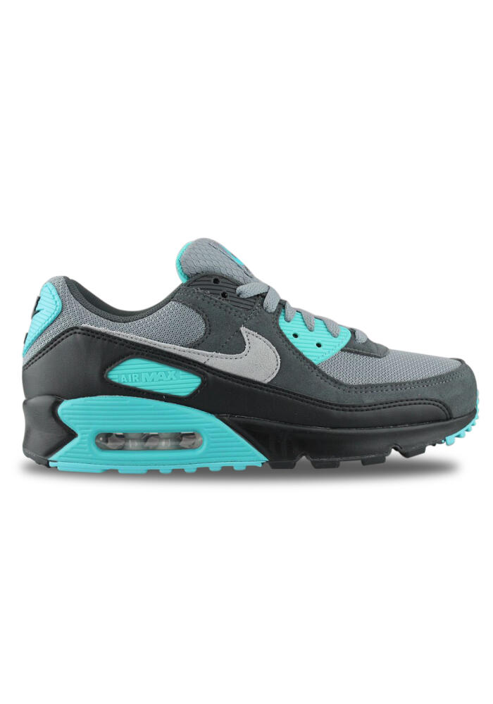 Nike Air Max 90 Cool Grey Dm0029-013 1/5