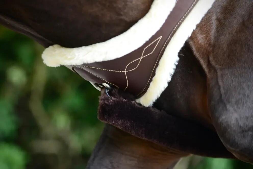 Sangle Anatomique sheepskin - Kentucky 3/7