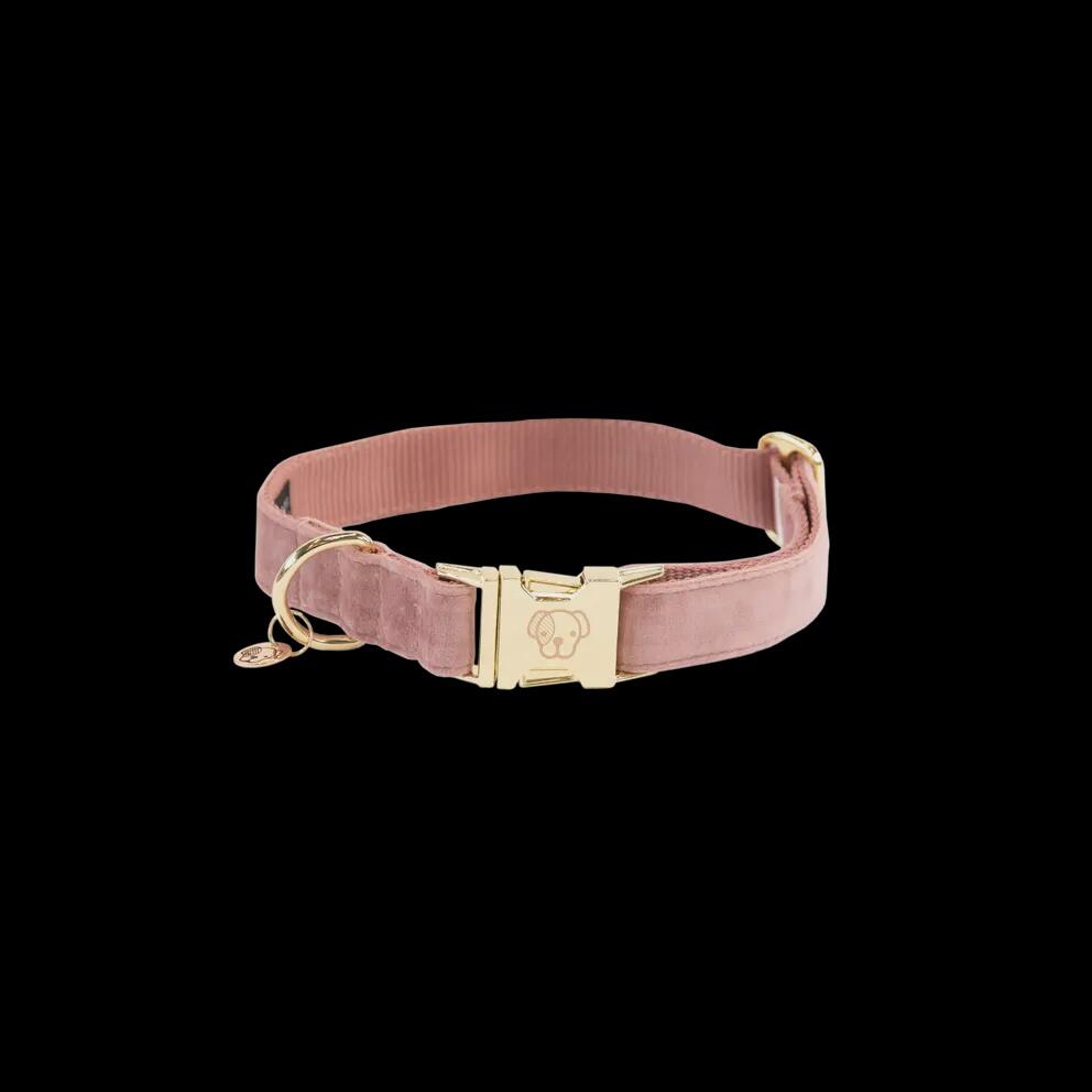 Kentucky Hondenhalsband Velvet Blauw 2/7