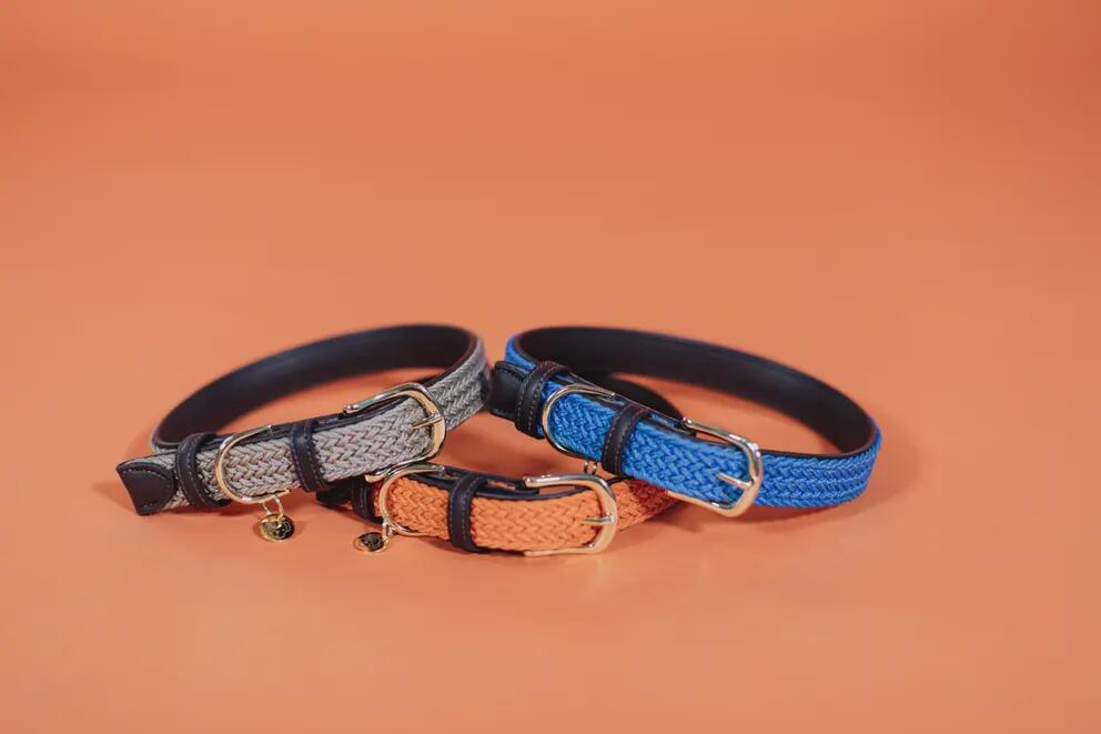Kentucky Gevlochten Nylon Hondenhalsband Blauw 5/7