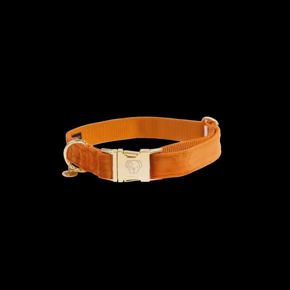 Kentucky Hondenhalsband Velvet Blauw 3/7