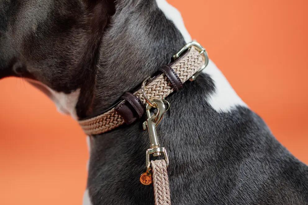 Kentucky Gevlochten Nylon Hondenhalsband Blauw 6/7