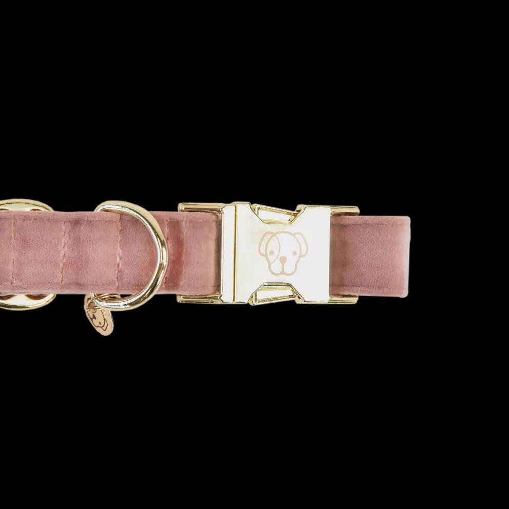 Kentucky Hondenhalsband Velvet Blauw 7/7