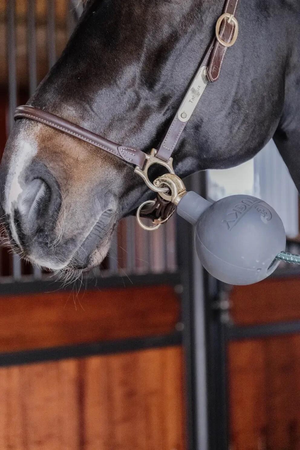 Balle protection d'attache Kentucky 5/7