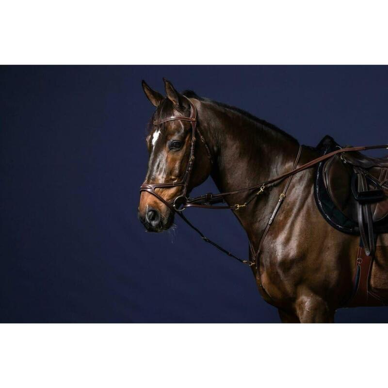 Dy'on Howlett Attachment Bruin -