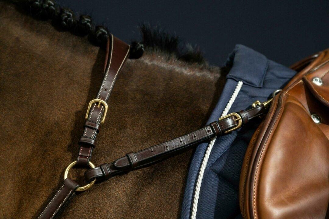 Collare da caccia per cavallo a ponte Dy'on 6/7