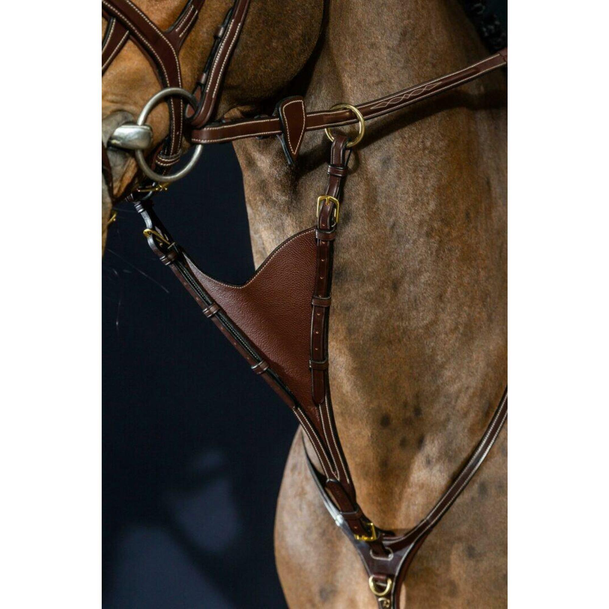 Dy'on Bib Martigale Attachment Zwart -