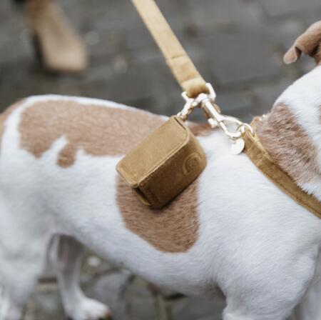 Porte-sac à crottes de chien carré en velours 6/7
