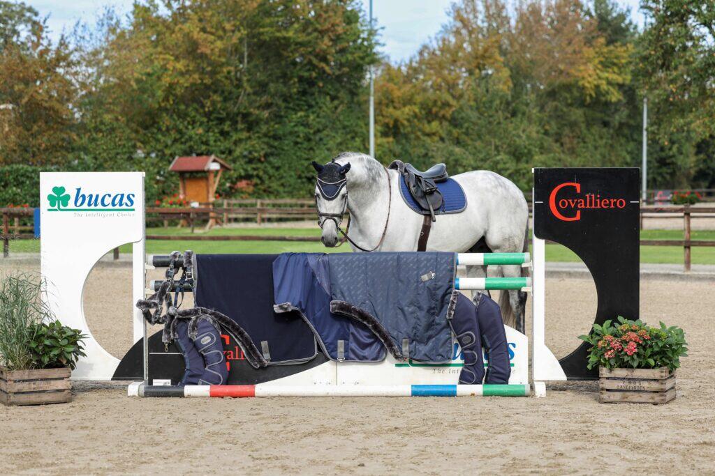 Bucas Show-line Transportbeschermers Grijs - 3/3